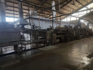 Potato Chips Production Line in Excellent Condition